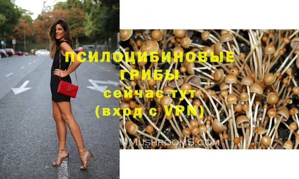 спайс Коряжма