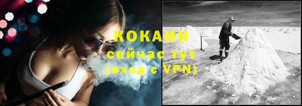дживик Костерёво
