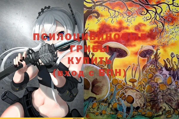 спайс Коряжма