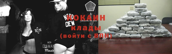 дживик Костерёво