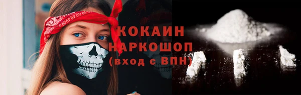 дживик Костерёво