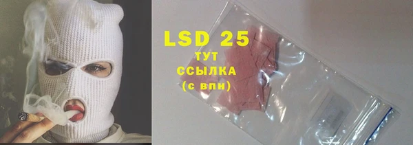 дживик Костерёво