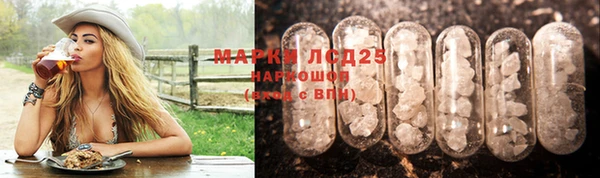 дживик Костерёво